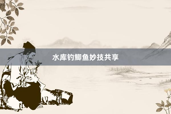 水库钓鲫鱼妙技共享